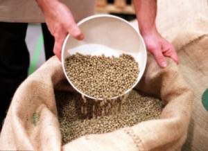 Origines Histoire du Café vert bio
