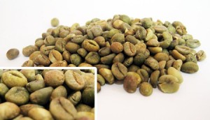 cafe-vert-bio-regime-antioxydant-naturel-minceur-brule-graisse-maigrir-vertus-proprietes-stimulant-perte-poids-robusta-bio Le Café vert bio