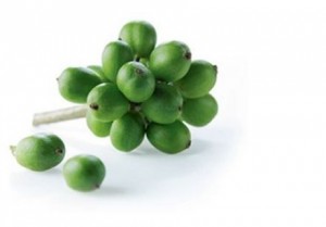 Le café vert bio riche en antioxydants naturels puissants pour la vitalité